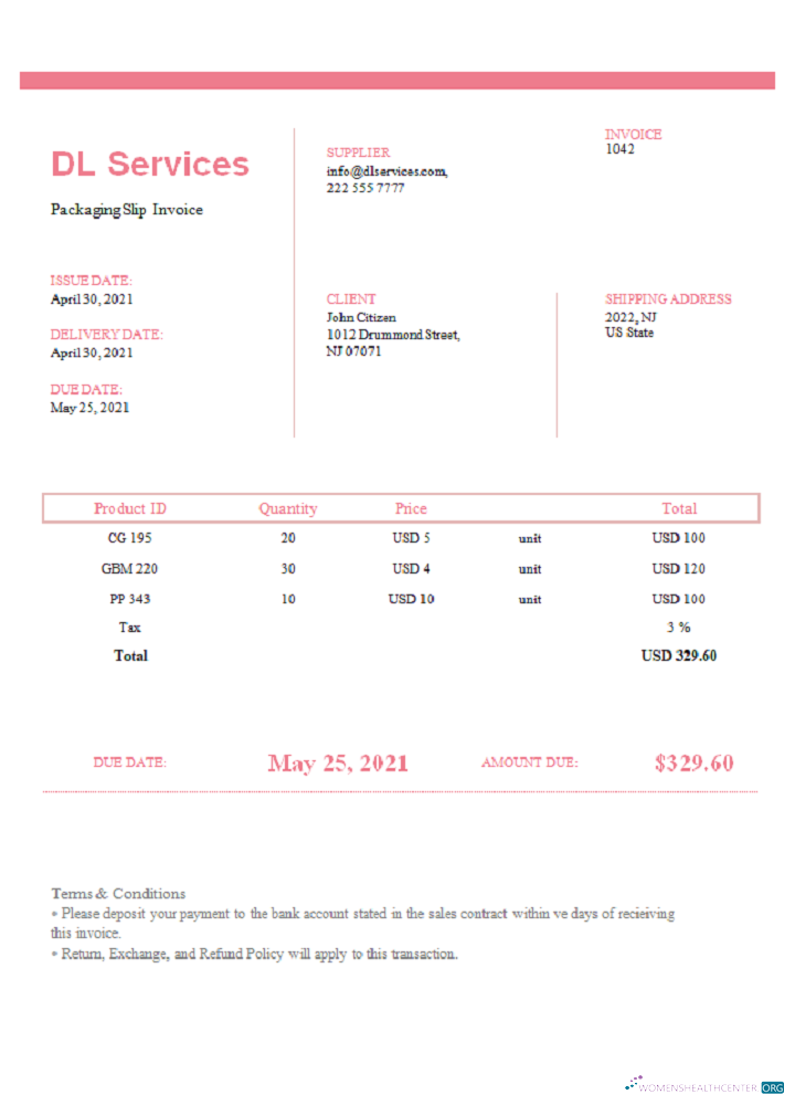 Download USA DL Services invoice Photoshop template
